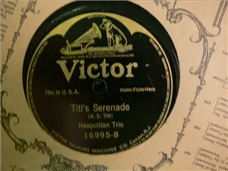 small_victor 16995 b.webp